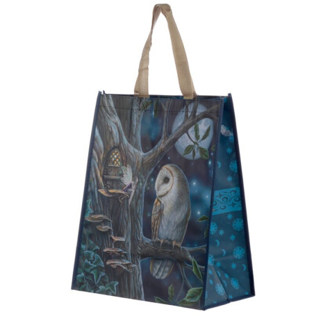 Dāvanu Maisiņš Lisa Parker Fairy Tales Owl & Fairy Reusable